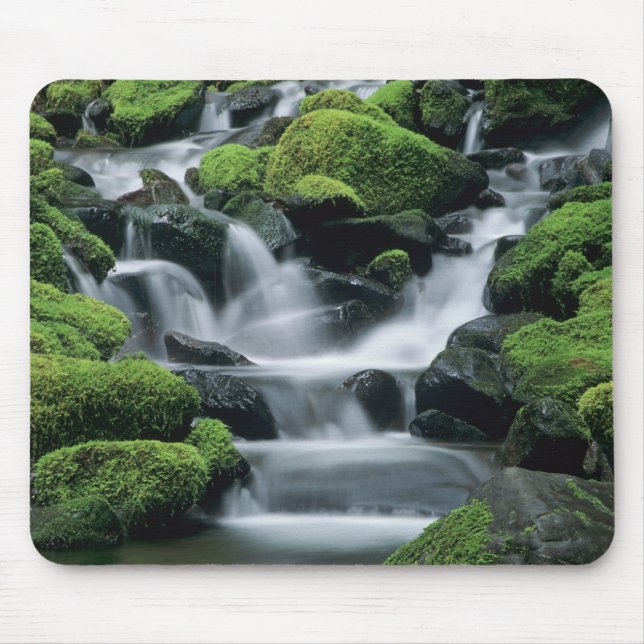 Tapis De Souris WA, Pôle olympique, vallée de Sol Duc, ruisseau av (Devant)