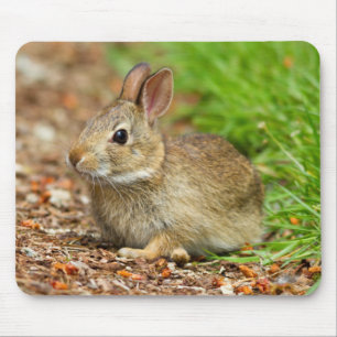 Tapis De Souris WA, Redmond, lapin bébé à queue blanche
