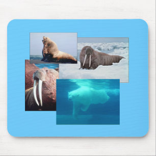 Tapis De Souris Walrus, Ours Polaire, Mousepad, Lion De Mer
