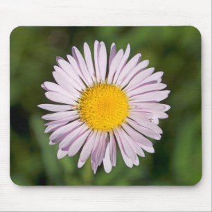 Tapis De Souris Washington, chaîne Cascade, Mont Baker