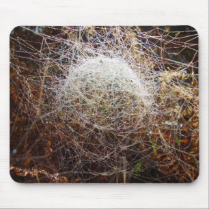 Tapis De Souris Web de Filmy Dome Spider Mouse Mat