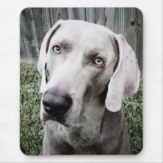 Tapis De Souris Weimaraner