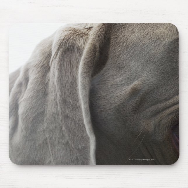 Tapis De Souris Weimaraner 3 (Devant)