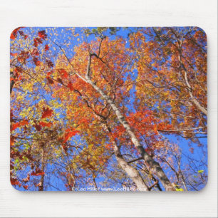 Tapis De Souris West Mt. Autumn Hot Springs National Park Cadfts