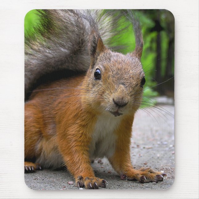 Tapis De Souris Whatcha a obtenu ? (Devant)