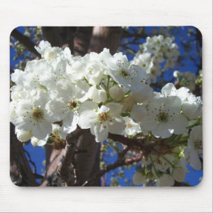 Tapis De Souris White Blossoms II