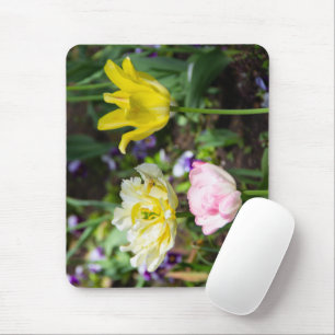 Tapis De Souris White, pink and yellow tulips in the garden