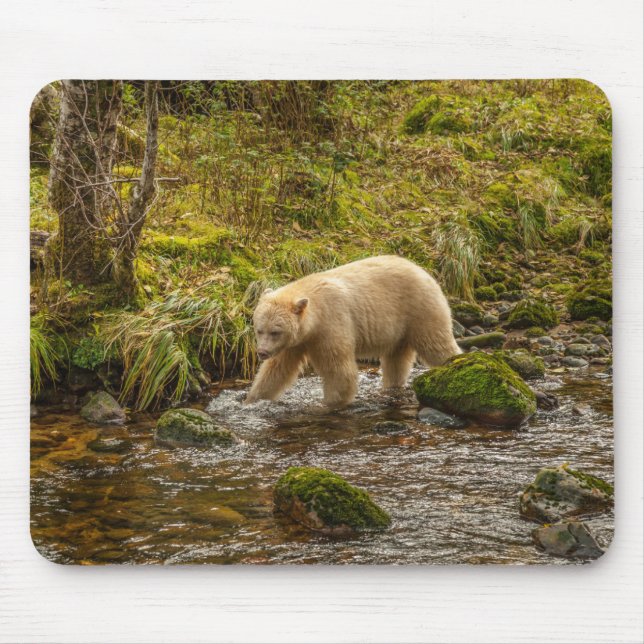 Tapis De Souris White Spirit Bear Chasse pour poisson sur Riordan  (Devant)
