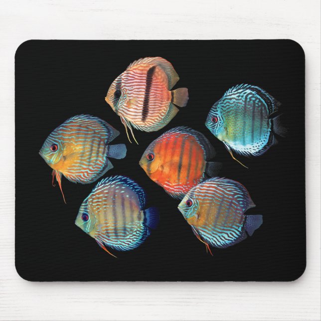 Tapis De Souris Wild Discus (Devant)