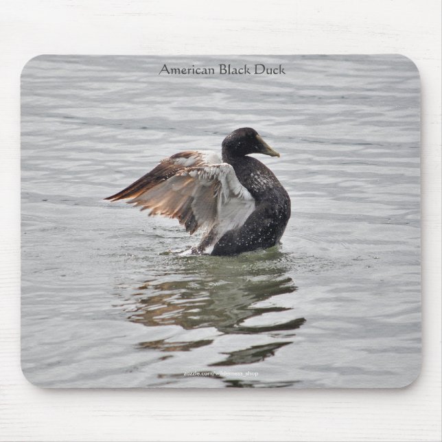 Tapis De Souris Wild Water Fowl Faune Amateur d'oiseaux Conception (Devant)