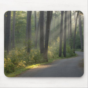 Tapis De Souris Wilderness Drive, parc d'État d'Itasca,