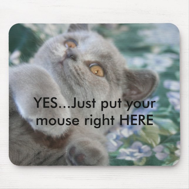 Tapis De Souris Winston le chat Mousepad (Devant)