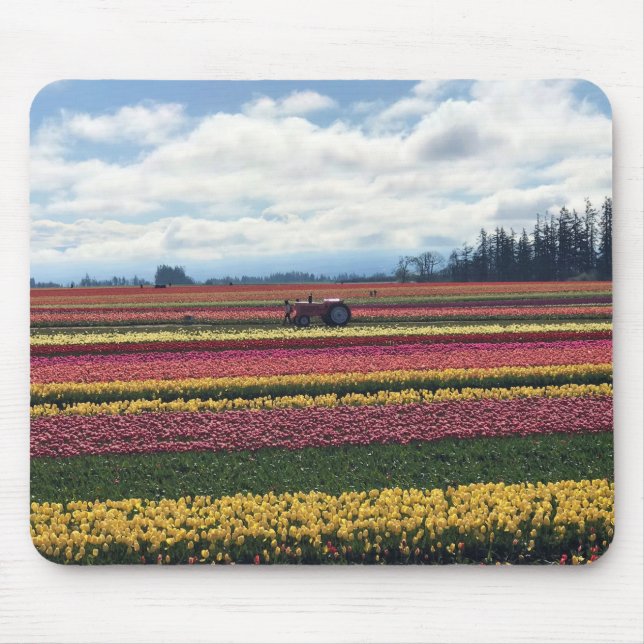 Tapis De Souris Wooden Shoe Tulip Farm, Woodburn, Oregon (Devant)