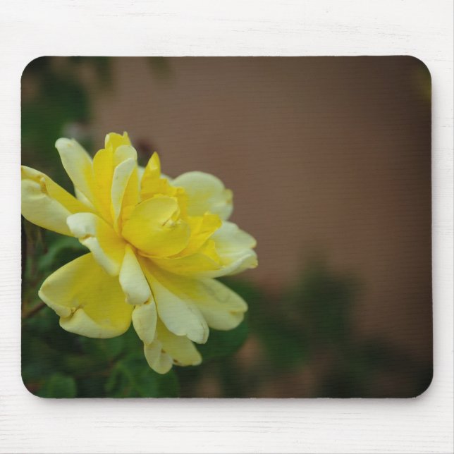 Tapis De Souris Yellow Rose (Devant)