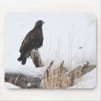 Tapis De Souris Yellowstone Eagle d'or