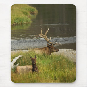 Tapis De Souris Yellowstone Mates Mousepad