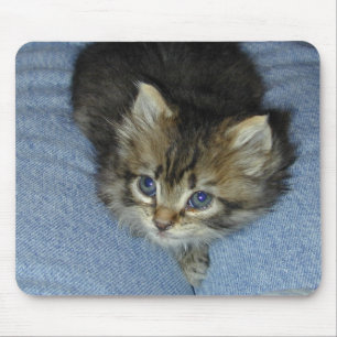 Tapis De Souris Yeux bleus