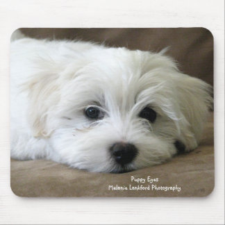 Tapis De Souris Yeux de chiot