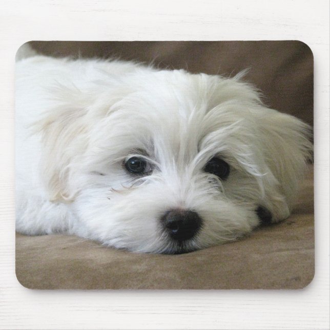 Tapis De Souris Yeux de chiot (Devant)
