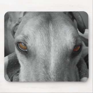 Tapis De Souris Yeux de lévrier
