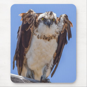 Tapis De Souris Yeux du Balbuzard