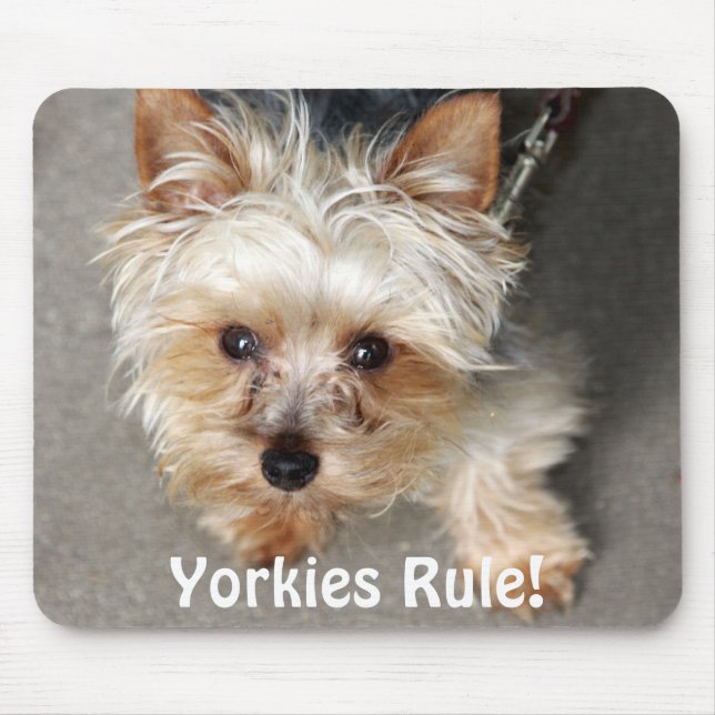 Tapis De Souris Yorkie, règle de Yorkies ! (Devant)