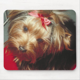 Tapis De Souris Yorkshire Terrier