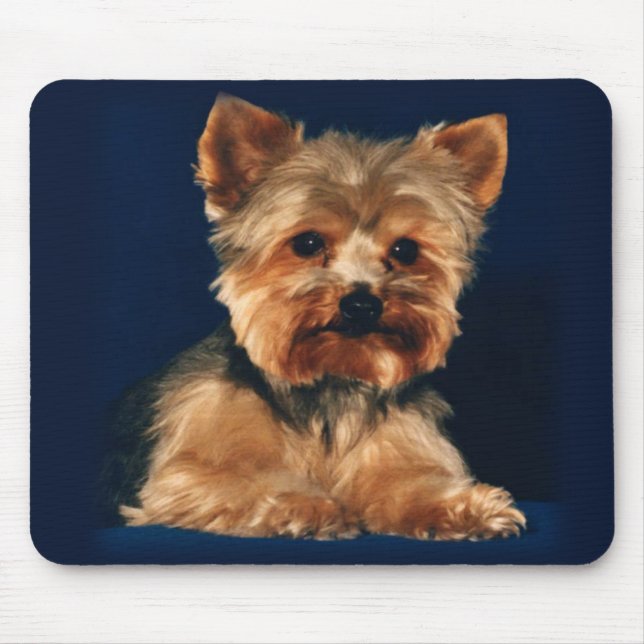 Tapis De Souris Yorkshire Terrier Mousepad (Devant)
