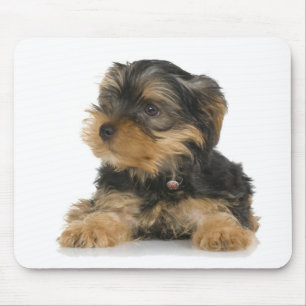 Tapis De Souris Yorkshire Terrier Mousepad