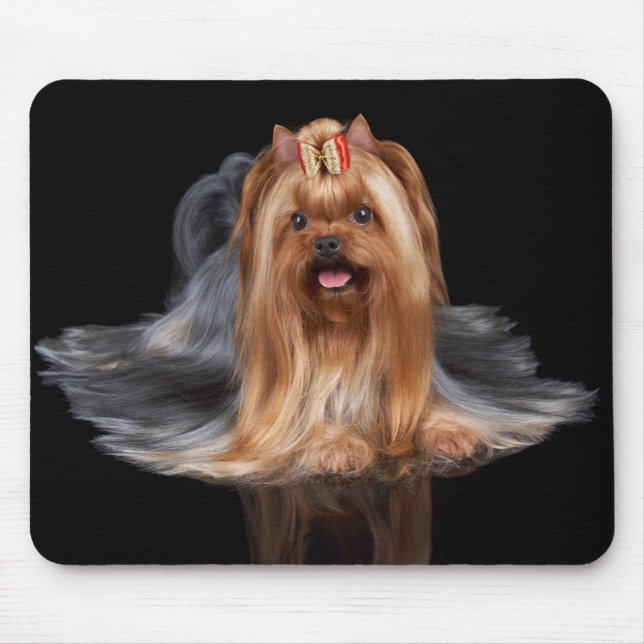 Tapis De Souris Yorkshire Terrier sur le noir (Devant)