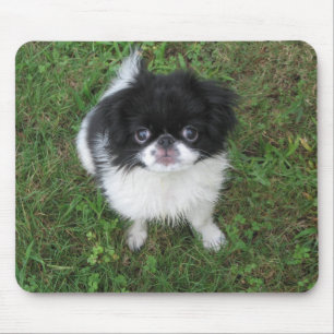 Tapis De Souris Yoshi