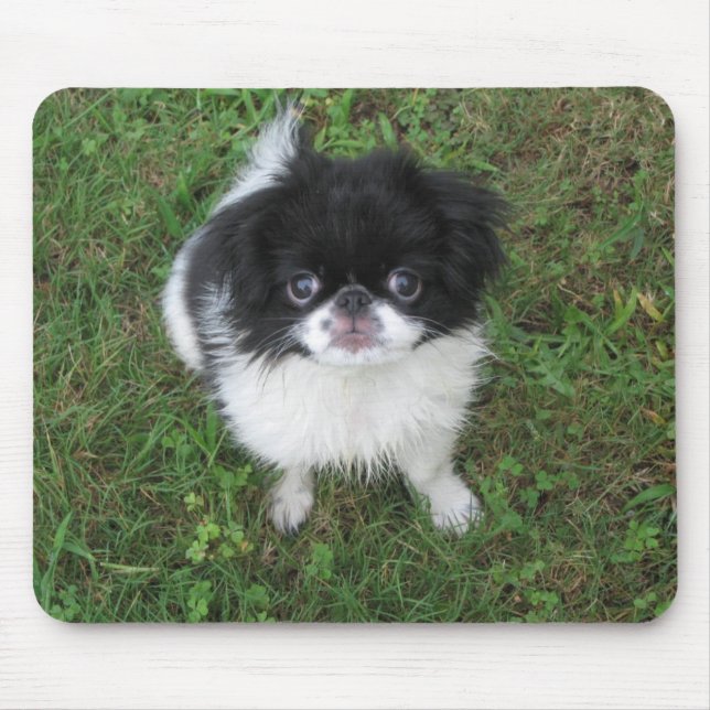 Tapis De Souris Yoshi (Devant)