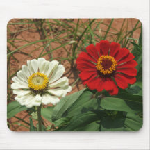 Zinnia blanche et Zinnia rouge Mousepad