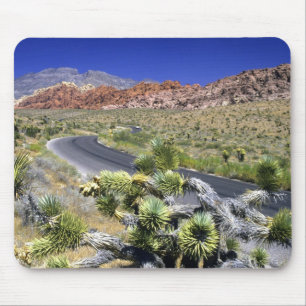 Tapis De Souris Zone nationale de conservation de Red Rock Canyon,