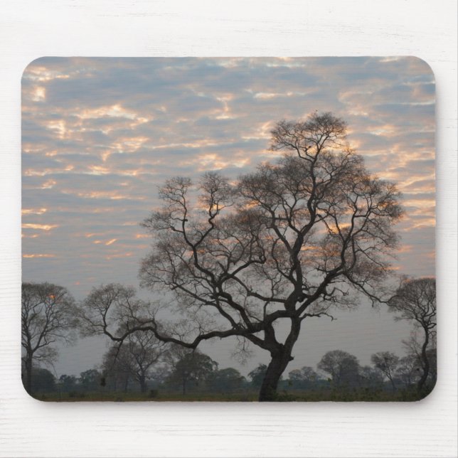 Tapis De Souris Zones humides du Pantanal | Amérique du Sud, Brési (Devant)