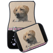 Yellow Labrador Retriever