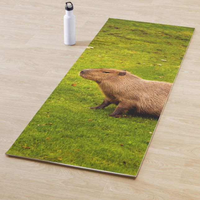 Tapis De Yoga Capybara (En situation)