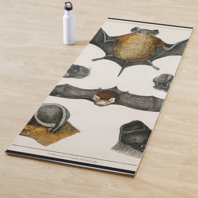 Tapis De Yoga Collection de différentes chauves-souris (En situation)