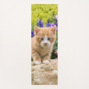 Tapis De Yoga Cute Ginger Chat Kitten en Jardin Fleuri Portrait