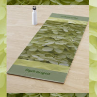 Hydrangeas Floral Celadon Fleurs vertes