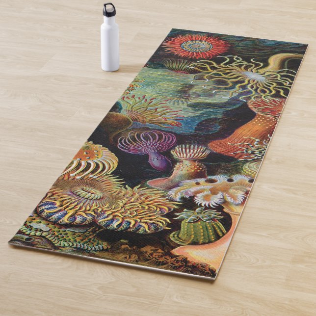 Tapis De Yoga l'art de la nature par Ernst Haeckel (En situation)