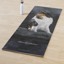 Portrait de chien Tricolor Rough Collie sur Noir -