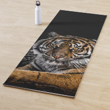 Tigre animal sauvage de la Jungle