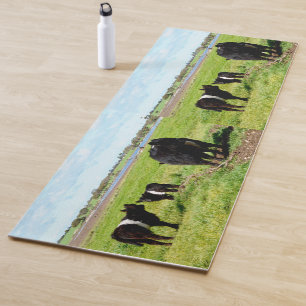 Tapis De Yoga Vaches Galloway Ceinturées, Mère Et Bébé,