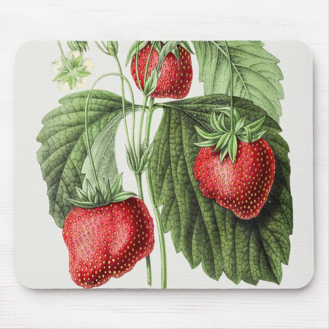 Tapis vintage de la souris à fraise (Devant)