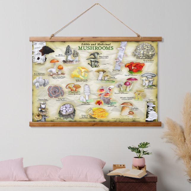 Tapisserie Champignons (comestibles et médicinaux) (Chambre à coucher)