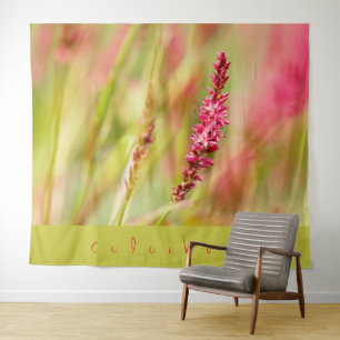 tapisserie colorbush