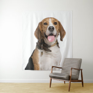 Tapisserie de photo de caniche Beagle mignon