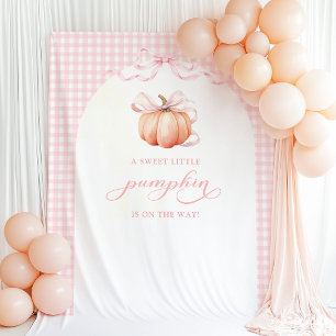 Tapisserie de toile de fond d'arche pour baby show