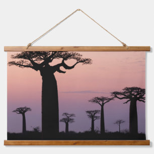 Tapisserie Suspendue Baobab Alley', Madagascar, Morondava, Africa,